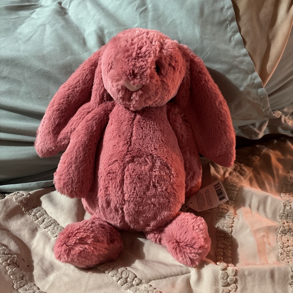 Jellycat Rose Pink Bunny Plush with Embroidered Tag